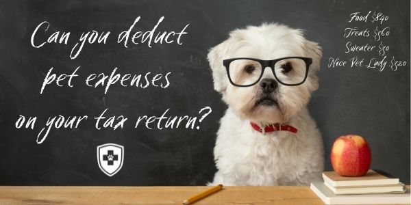 Can You Deduct Pet Expenses on Your Tax Return Preventive Vet